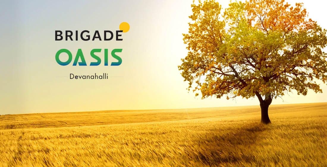 Brigade Oasis Plots