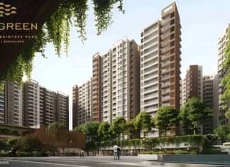 Prestige Evergreen