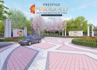 Prestige Marigold Phase 2 Plots