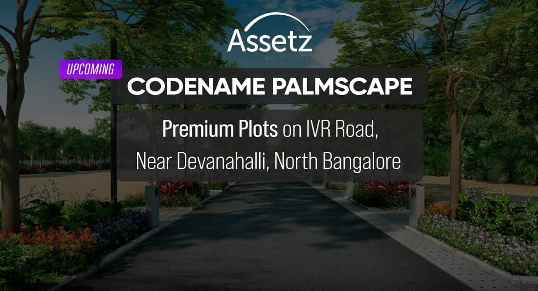 Assetz Codename Palmscape