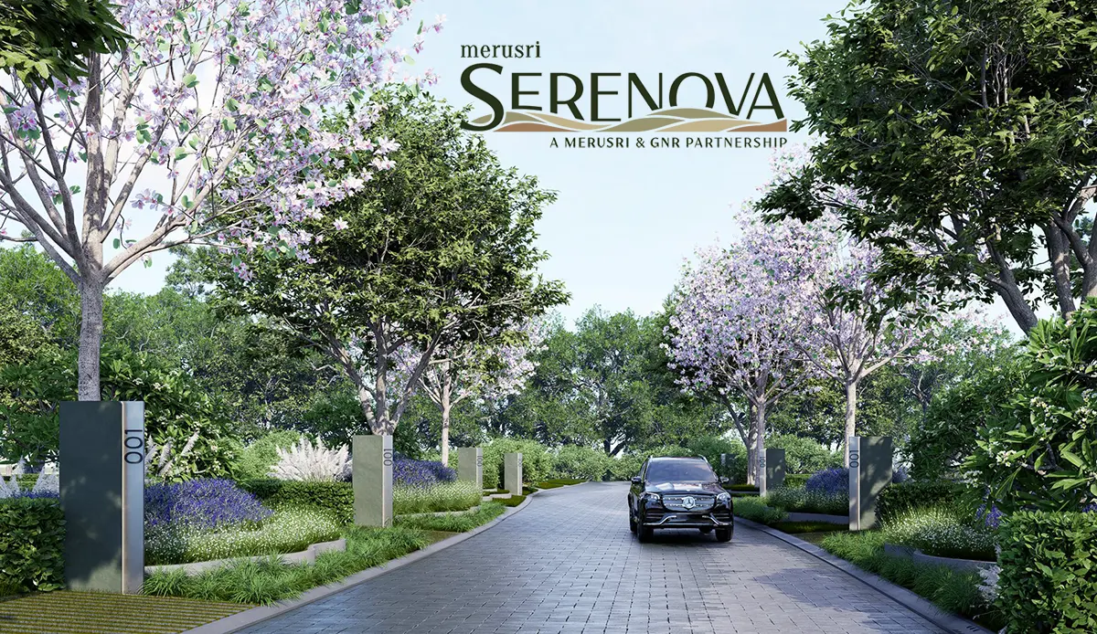 Merusri Serenova Plots